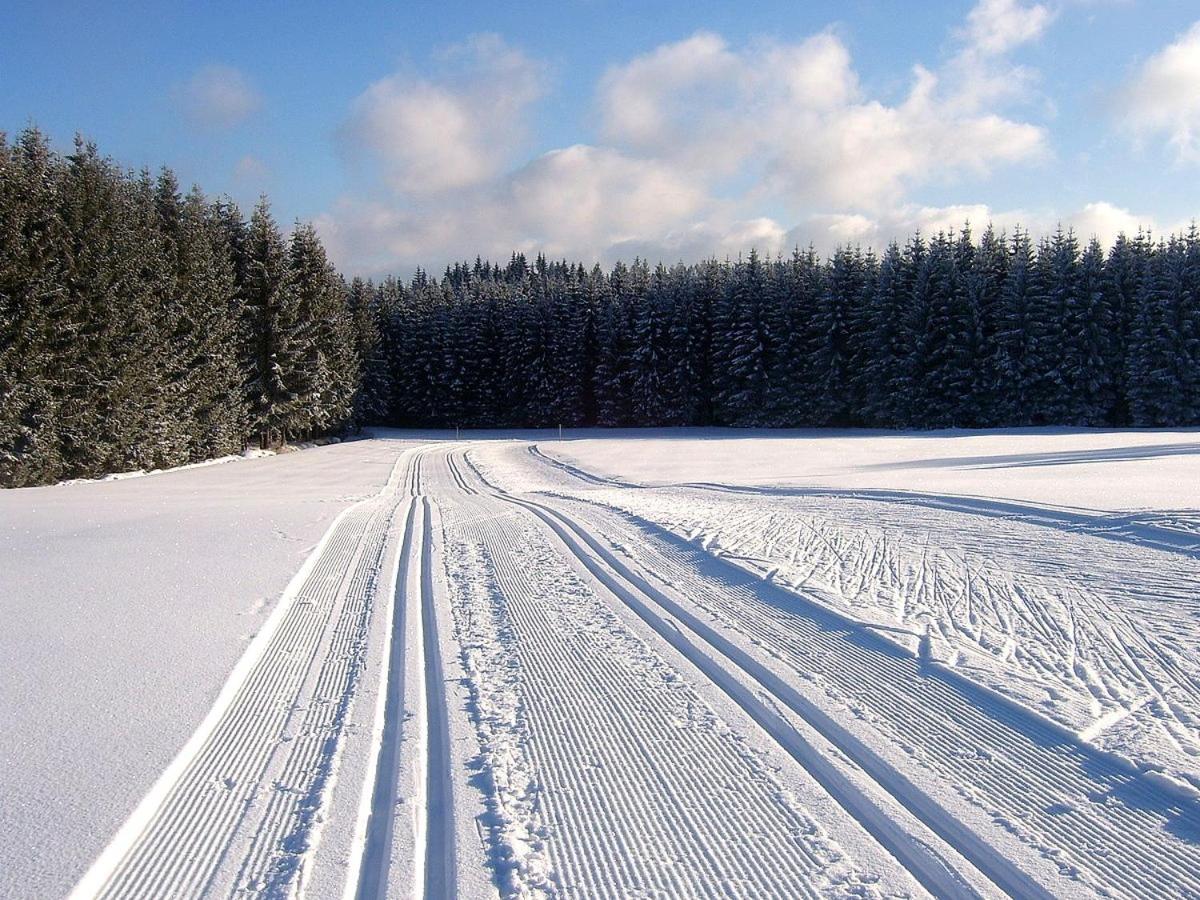 Penzion Svata Trojice Trhove Sviny Экстерьер фото